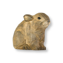 Lade das Bild in den Galerie-Viewer, Rabbit Kit