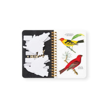 Lade das Bild in den Galerie-Viewer, Salty Birds - Sticker Book