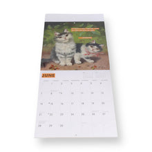 Lade das Bild in den Galerie-Viewer, Cat People to Judge in Art and Life - Wall Calendar 2026