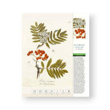 Lade das Bild in den Galerie-Viewer, Thorbeckes heimisches Obst Kalender 2027