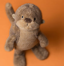 Lade das Bild in den Galerie-Viewer, Kuscheltier - Brooke Otter