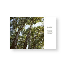 Lade das Bild in den Galerie-Viewer, Wundervolle Waldküche