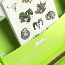 Lade das Bild in den Galerie-Viewer, Letter Writing Set - Natural History