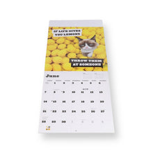 Lade das Bild in den Galerie-Viewer, Grumpy Cat - Wall Calendar 2026
