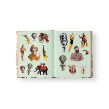 Lade das Bild in den Galerie-Viewer, Extraordinary Things - Sticker Book