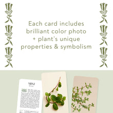 Lade das Bild in den Galerie-Viewer, Botanicals Deck