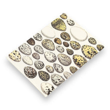 Lade das Bild in den Galerie-Viewer, Letter Writing Set - Natural History