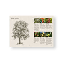 Lade das Bild in den Galerie-Viewer, Wundervolle Waldküche