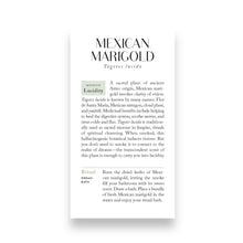 Lade das Bild in den Galerie-Viewer, Botanicals Deck