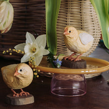Lade das Bild in den Galerie-Viewer, Curious Chick - DecoBird