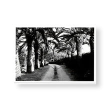 Lade das Bild in den Galerie-Viewer, Postkartenset - Aglaia Risch: Postkartenserie mit 40 Motiven