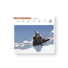 Lade das Bild in den Galerie-Viewer, Der heroische Hörnchenkalender 2026