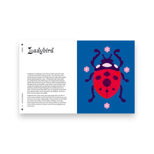 Lade das Bild in den Galerie-Viewer, The Book of Luck