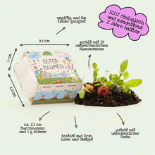 Lade das Bild in den Galerie-Viewer, Blumenmurmeln im Eierkarton