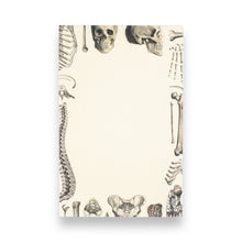 Lade das Bild in den Galerie-Viewer, Skeleton - Notepads