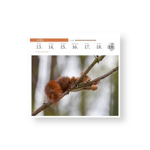 Lade das Bild in den Galerie-Viewer, Der heroische Hörnchenkalender 2026