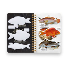 Lade das Bild in den Galerie-Viewer, Judgy Fish - Sticker Book