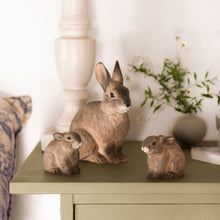 Lade das Bild in den Galerie-Viewer, Rabbit Kit