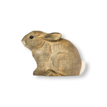 Lade das Bild in den Galerie-Viewer, Rabbit Kit