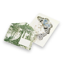 Lade das Bild in den Galerie-Viewer, Letter Writing Set - Natural History