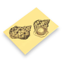 Lade das Bild in den Galerie-Viewer, Letter Writing Set - Natural History