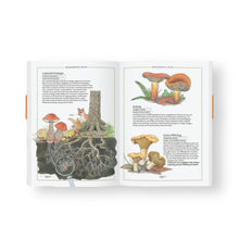 Lade das Bild in den Galerie-Viewer, Steinpilz, Trüffel, Pfifferling - Die Welt der Pilze