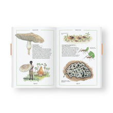 Lade das Bild in den Galerie-Viewer, Steinpilz, Trüffel, Pfifferling - Die Welt der Pilze