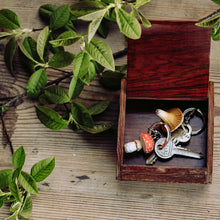 Lade das Bild in den Galerie-Viewer, Schlüsselanhänger - Fliegenpilz