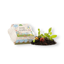 Lade das Bild in den Galerie-Viewer, Blumenmurmeln im Eierkarton