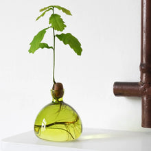 Lade das Bild in den Galerie-Viewer, Acorn Vase Grass Green