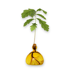 Lade das Bild in den Galerie-Viewer, Acorn Vase Mellow Yellow
