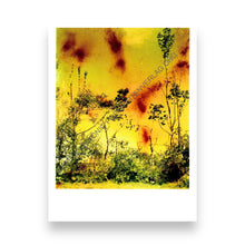 Lade das Bild in den Galerie-Viewer, Postkartenset - Wolfgang Tillmans