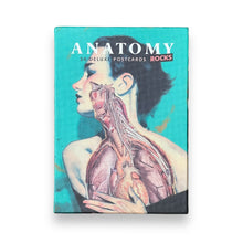 Lade das Bild in den Galerie-Viewer, Anatomy Rocks: 30 Deluxe Postcards