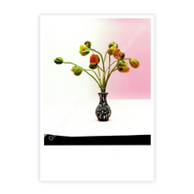 Lade das Bild in den Galerie-Viewer, Postkartenset - Frühling