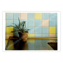 Lade das Bild in den Galerie-Viewer, Postkartenset - Frühling