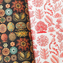 Lade das Bild in den Galerie-Viewer, Art Forms In Nature - Gift & Creative Paper Book