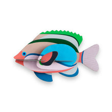 Lade das Bild in den Galerie-Viewer, Fairy Wrasse