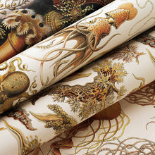 Lade das Bild in den Galerie-Viewer, Art Forms In Nature - Gift & Creative Paper Book