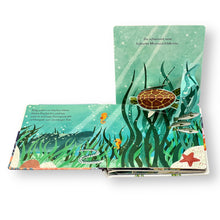 Lade das Bild in den Galerie-Viewer, Wer lebt im Meer? - Mein Pop-up-Buch zum Staunen