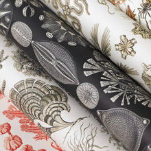 Lade das Bild in den Galerie-Viewer, Art Forms In Nature - Gift & Creative Paper Book