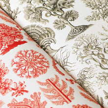 Lade das Bild in den Galerie-Viewer, Art Forms In Nature - Gift & Creative Paper Book