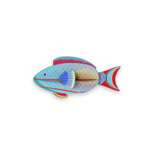 Lade das Bild in den Galerie-Viewer, Parrotfish