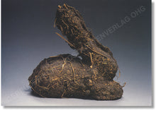 Lade das Bild in den Galerie-Viewer, Gebrüder König Postkartenverlag: Dieter Roth - Postkarte an Emmet Williams, nach 1975 (Dieter Roth Foundation, Hamburg; Foto: Dieter Roth Foundation, Hamburg Heini Schneebeli; Best.Nr.: 400/07)