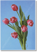 Lade das Bild in den Galerie-Viewer, Gebrüder König Postkartenverlag: Hans-Peter Feldmann - Blumen #54, 2007 (VG Bild-Kunst, Bonn, 2007; Best.Nr.: 438/11)