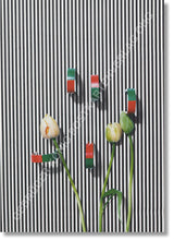 Lade das Bild in den Galerie-Viewer, Postkartenverlag: Gebrüder König Postkartenverlag: Annette Kelm - Untitled, 2013 (Best.Nr.: 475/03)