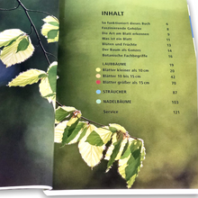 Lade das Bild in den Galerie-Viewer, Bäume am Blatt erkennen