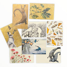 Lade das Bild in den Galerie-Viewer, The Wild Cards - Postcard Box