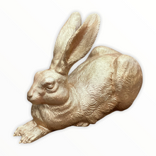 Lade das Bild in den Galerie-Viewer, Dürer-Hase, 2003