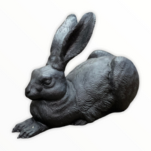 Lade das Bild in den Galerie-Viewer, Dürer-Hase, 2003