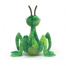 Lade das Bild in den Galerie-Viewer, Kuscheltier - Penny Praying Mantis